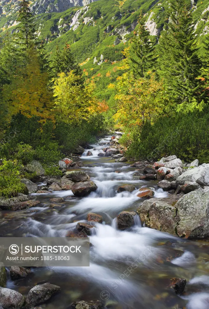 Poland, , Tatra Mountains, Mountain stream in autumn