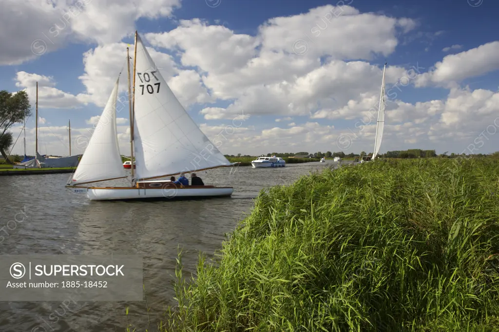 UK - England, Norfolk, Norfolk Broads, Sailboats on River Thurne 