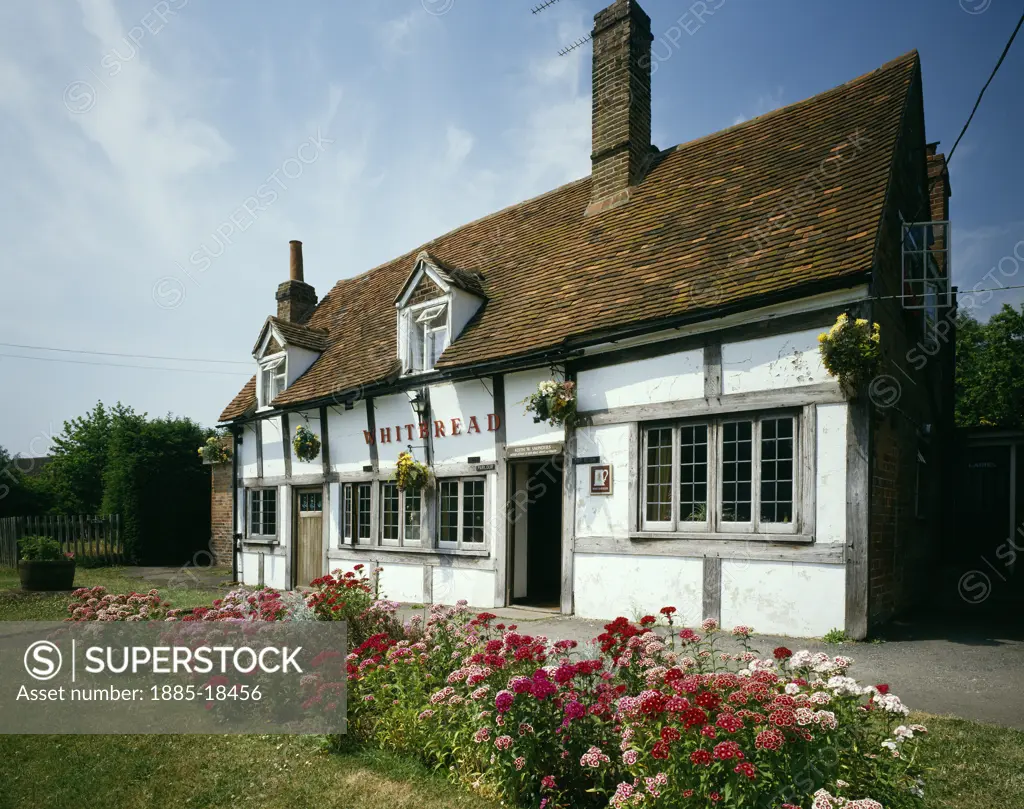 UK - England, Oxfordshire, Peppard, The Greyhound pub