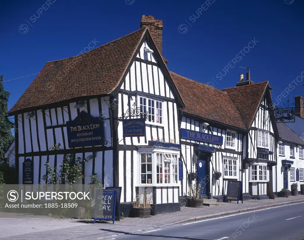 UK - England, Essex, High Roding, The Black Lion pub