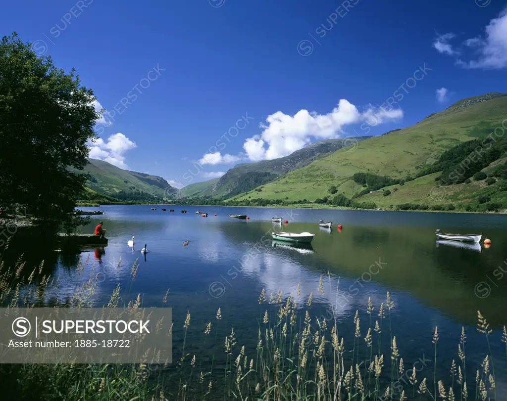 UK - Wales, Gwynedd, Tal y Llyn, Tal y Llyn Lake