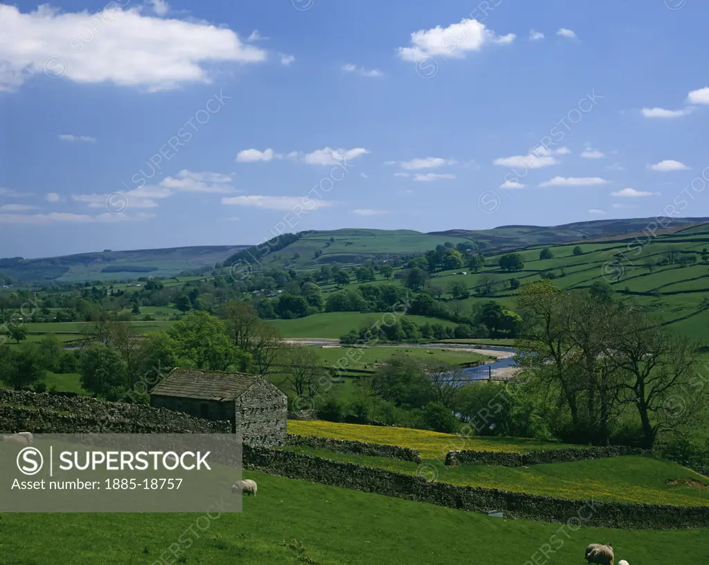 UK - England, Yorkshire, Swaledale, Rural scenery 