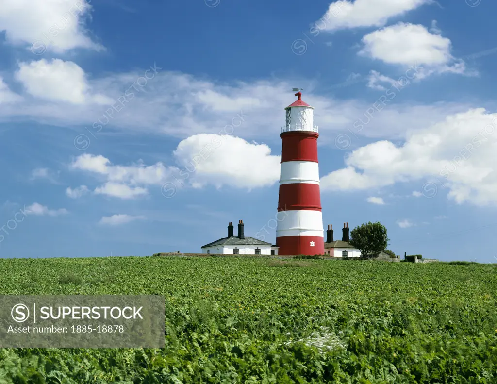 UK - England, Norfolk, Happisburgh, Happisburgh lighthouse