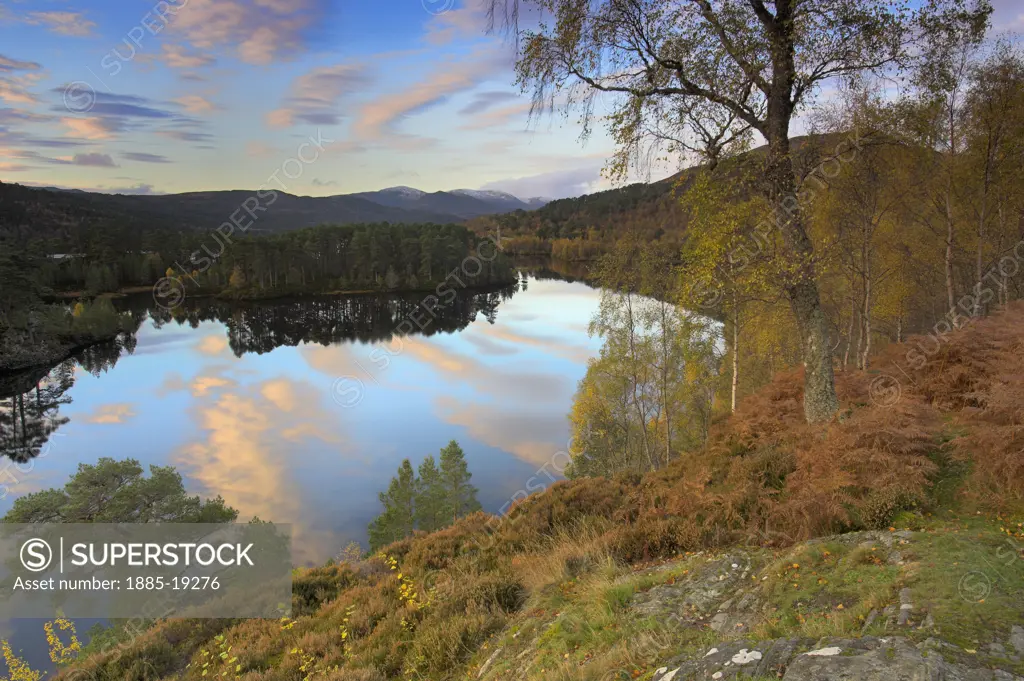 UK - Scotland, Highland, Glen Affric, Loch Affric in autumn