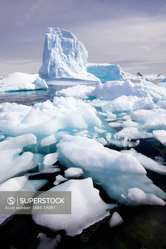 Antarctica, , Antarctic Peninsula, Icebergs in Paradise Harbour