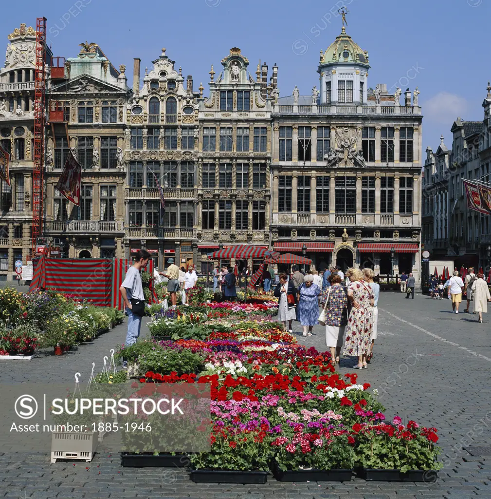 Belgium, Flanders, Brussels, Flower Market in Grand Place