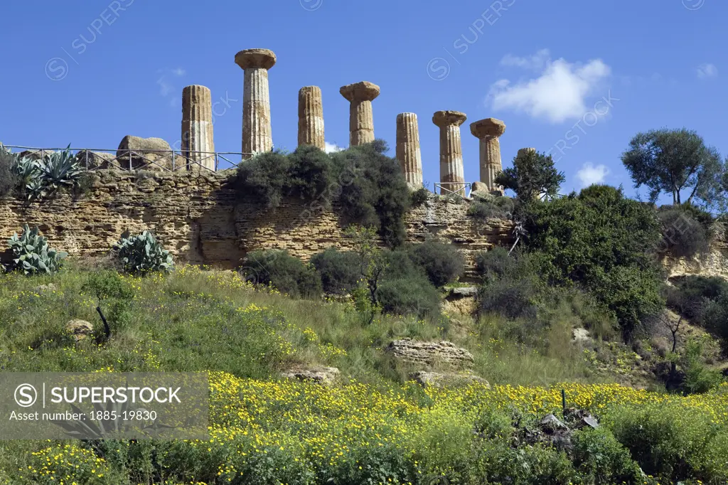 Italy, Sicily, Agrigento, Valley of the Temples -  Temple of Herakles in spring