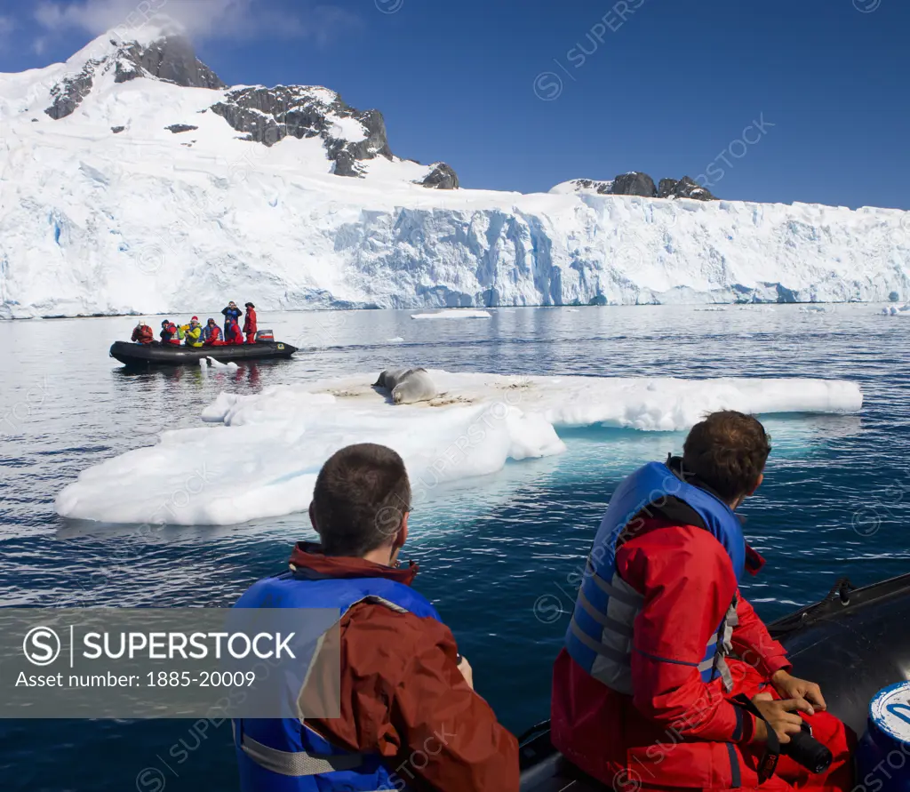 Antarctica, , Cuverville Island, Tourists watch basking Leopard Seal from Zodiac boats