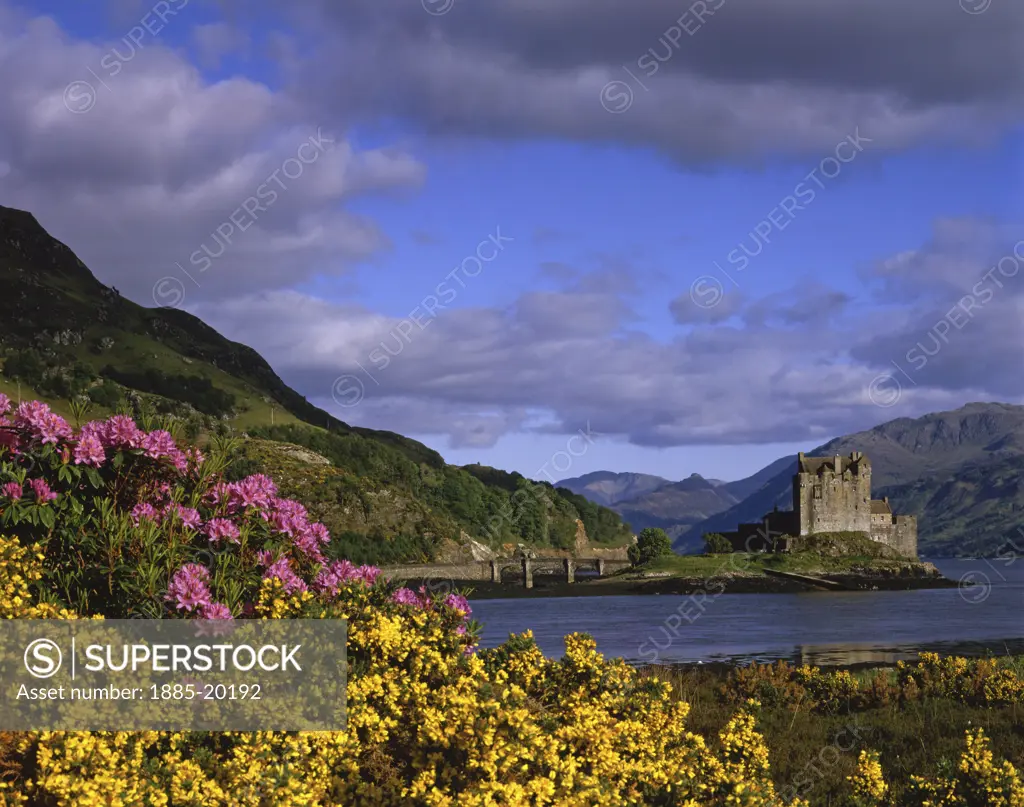 UK - Scotland, Highland, Dornie - near, Castles - Eilean Donan Castle in spring