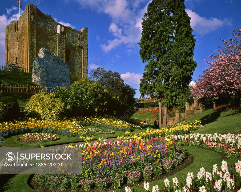UK - England, Surrey, Guildford, Castles - Guildford Castle and gardens in spring