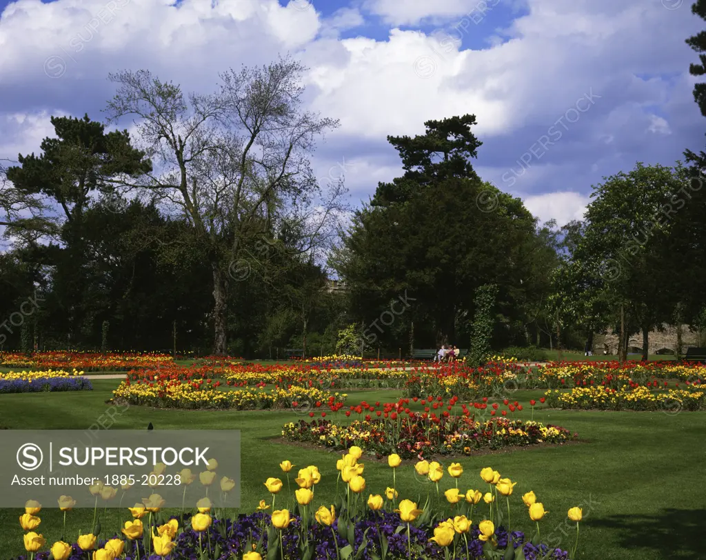 UK - England, Suffolk, Bury St Edmunds, Abbey Gardens in spring
