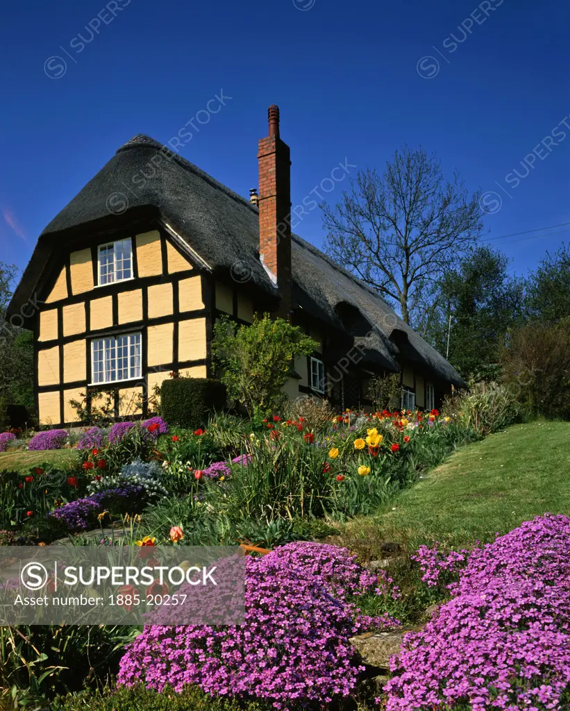 UK - England, Hereford & Worcester, Eastnor, Cottages - thatched cottage in spring