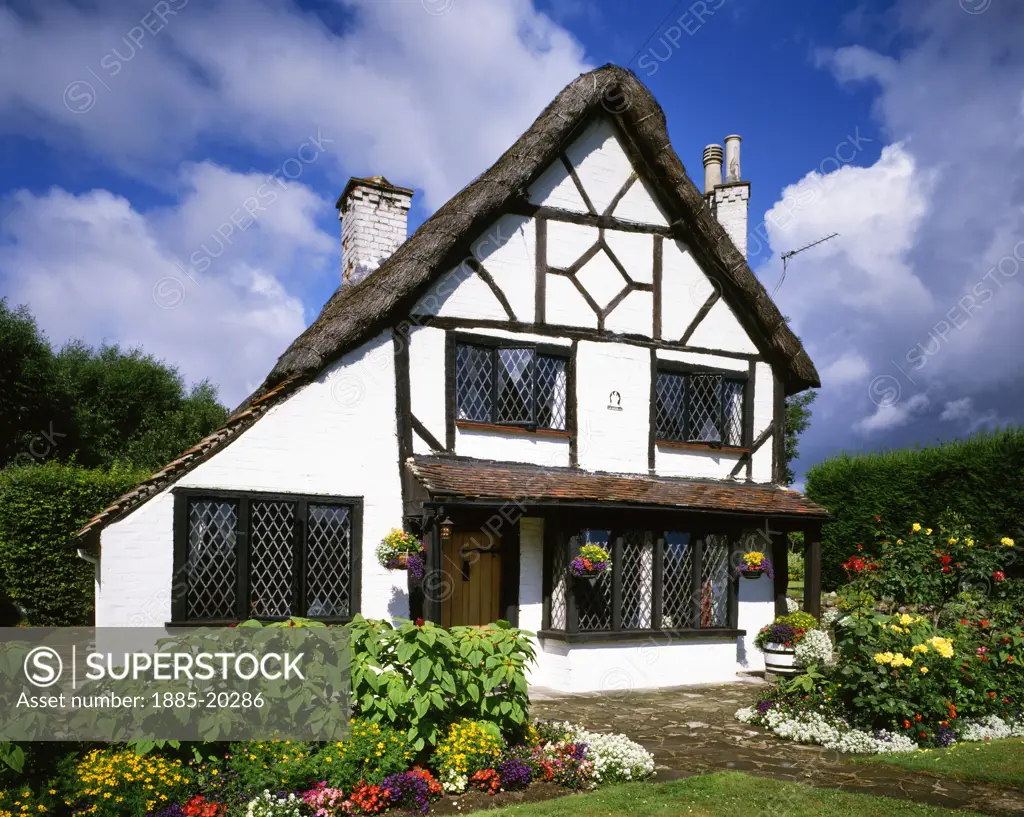 UK - England, Surrey, Woking, Cottages - thatched cottage and garden in summer