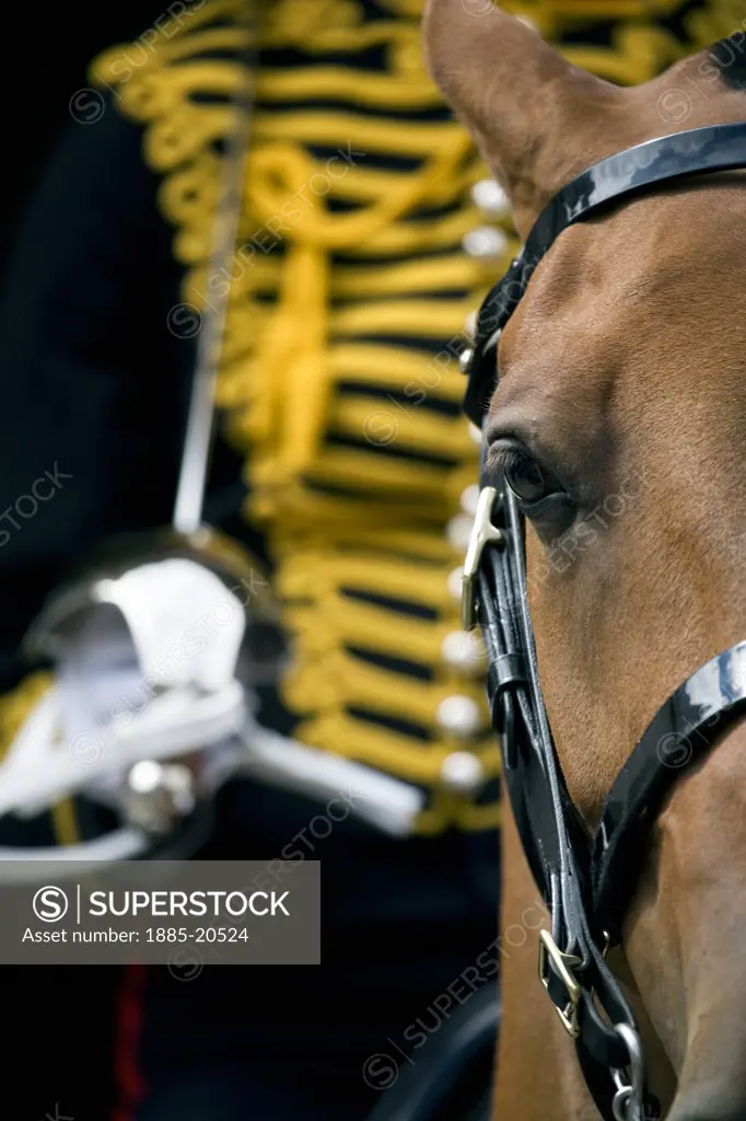 UK - England, , London, Mounted Kings Troop Royal Horse Artillery Guard - detail