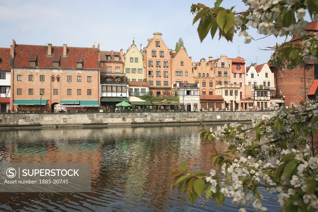 Poland, , Gdansk, Houses along Dlugie Pobrzeze with River Motlawa and spring blossom