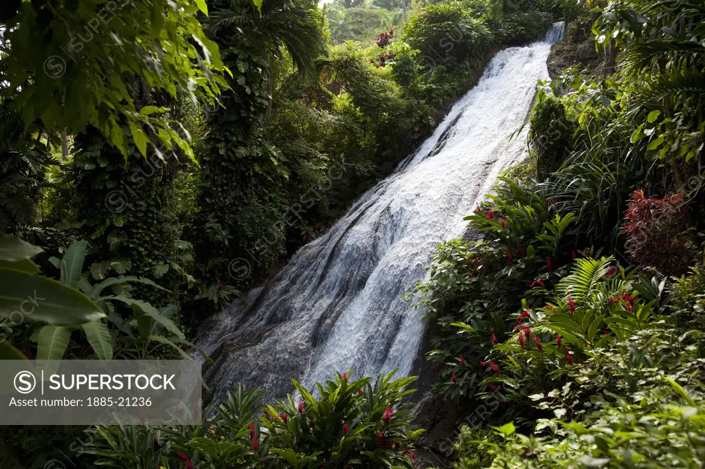 Caribbean, Jamaica, Ocho Rios, Waterfall in Shaw Park Gardens