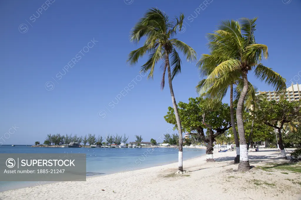 Jamaica, St Annes, Ochos Rios, Beach and palm trees