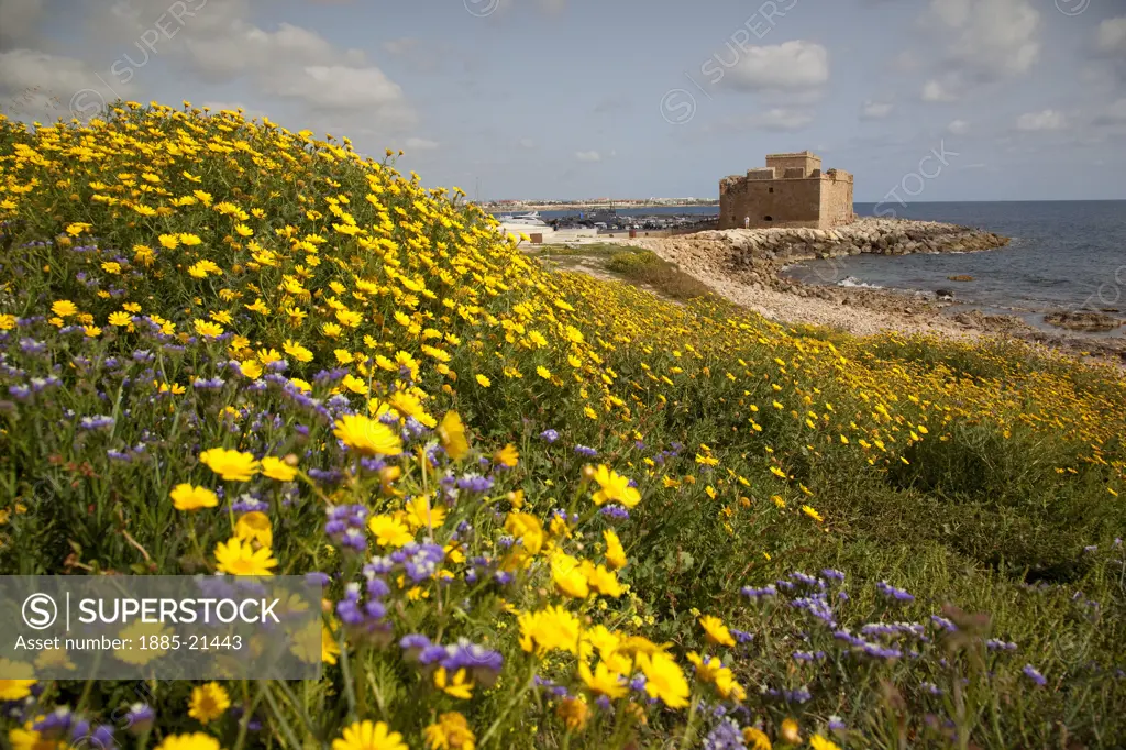 Cyprus, Kato Paphos, Paphos, Castle & Flowers