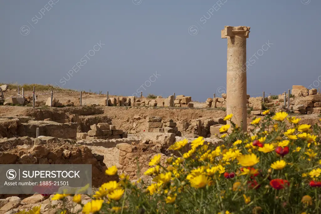 Cyprus, South Cyprus, Paphos, Roman Pillar & Flowers