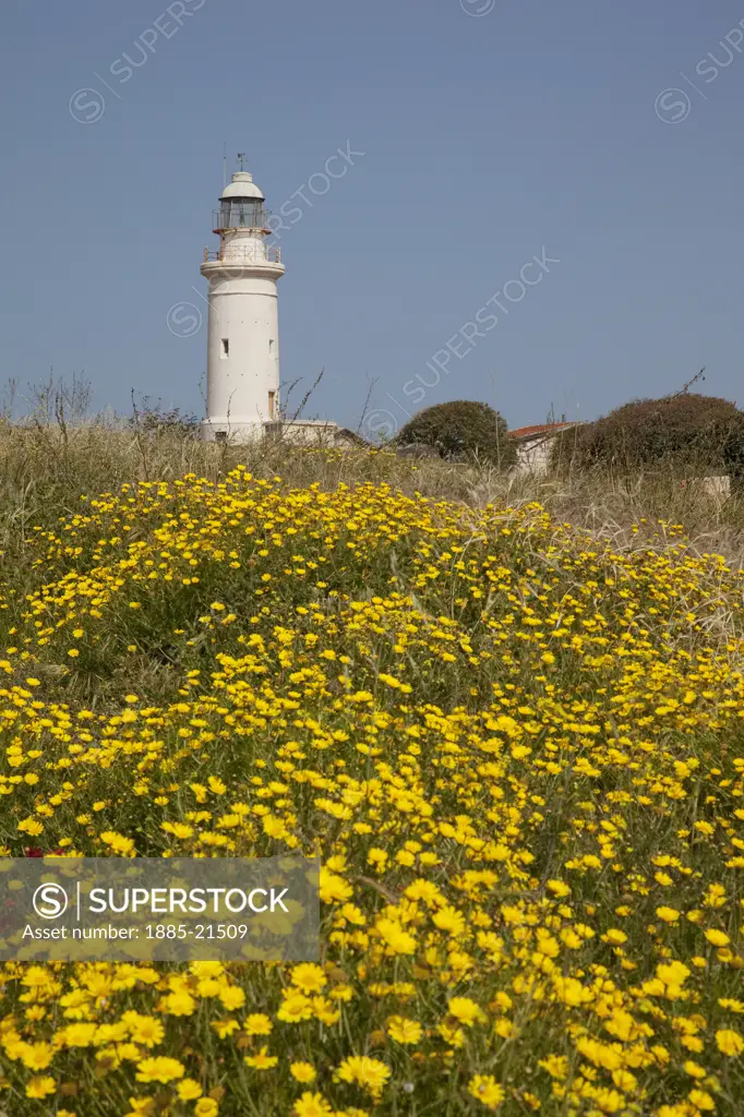 Cyprus, South Cyprus, Paphos, Lighthouse & flowers