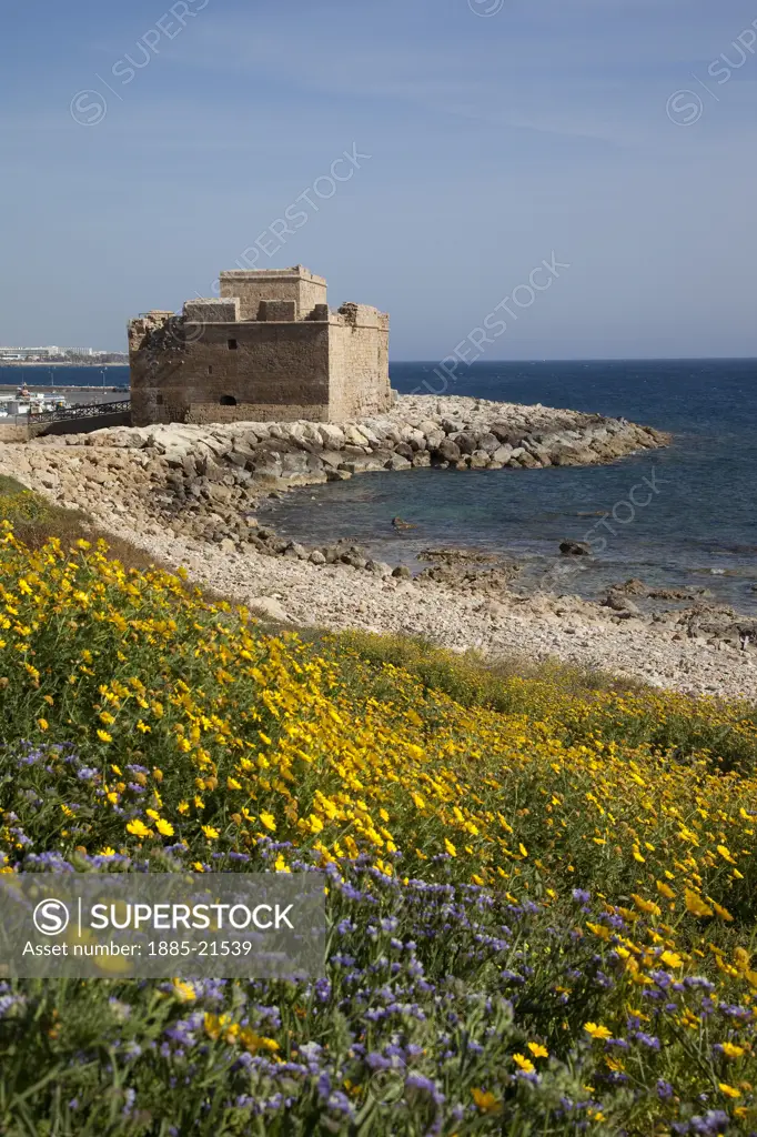 Cyprus, Kato Paphos, Paphos, Castle & flowers