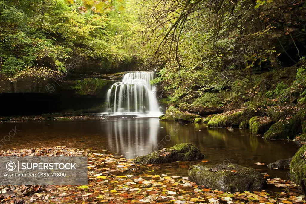 UK - England, North Yorkshire, West Burton Falls at Autumn, Wensleydale, Yorkshire Dales National Park