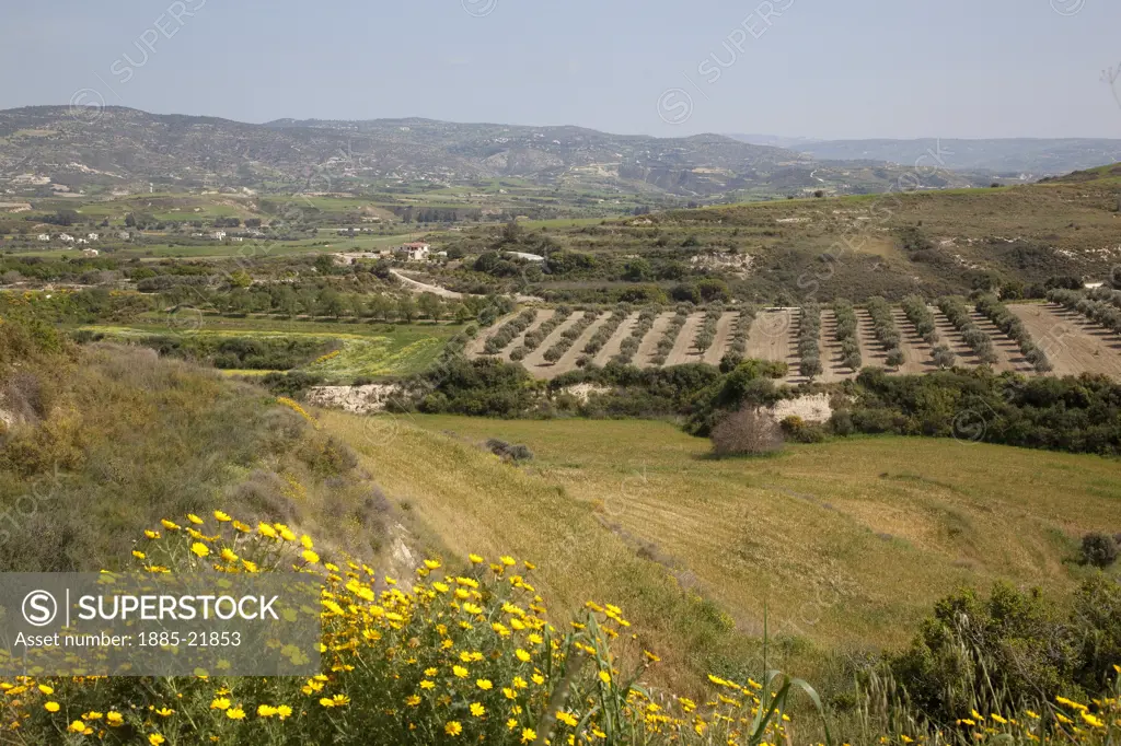 Cyprus, South Cyprus, Paphos, Cyprus, Akamas, Countryside near Akamas