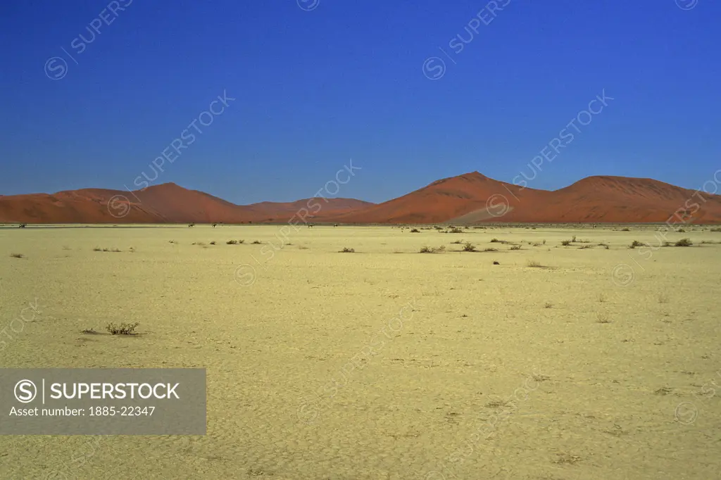Namibia, Red sand dunes at Sossusvlei with oryx antelope in view