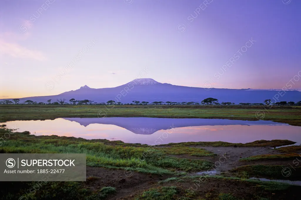 Kenya, Reflection Of Mount Kilimanjaro in pool at Amboseli National Park - dusk skies