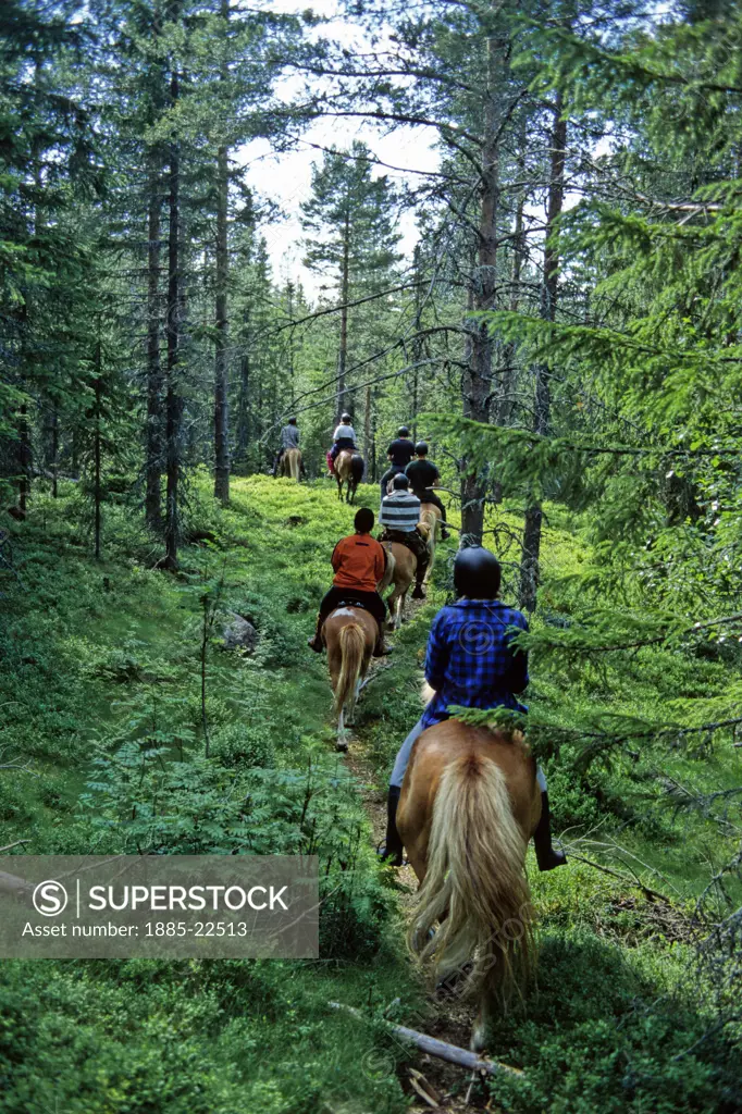 Sweden, Central sweden, horse riding in summer forest, central sweden
