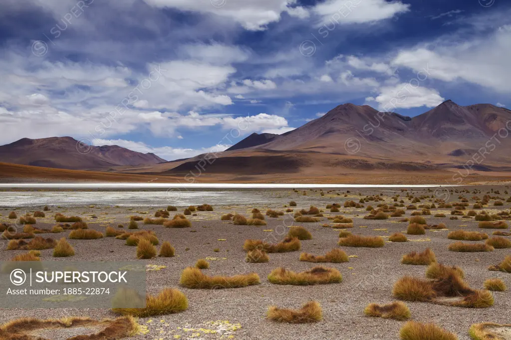 Bolivia, Tapaquilcha, The remote region of high desert