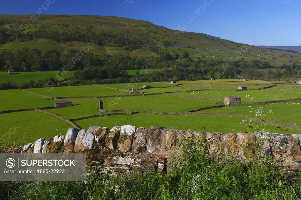 UK - England, North Yorkshire, Swaledale, Barns in meadows near gunnerside