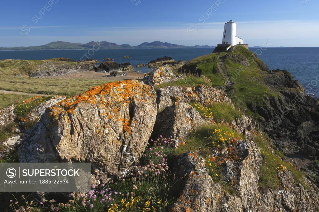 UK - Wales, Anglesey, Llandwyn Island, View of twr mawr lighthouse in springtime