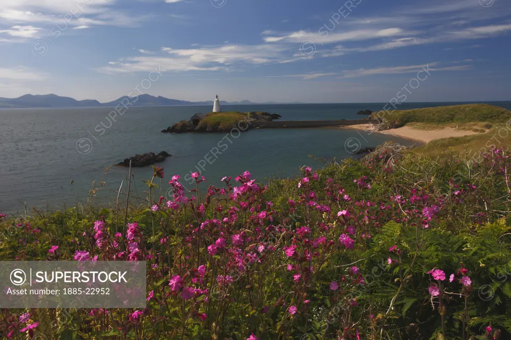 UK - Wales, Anglesey, Llanddwyn Island, Twr bach lighthouse on llanddwyn island,