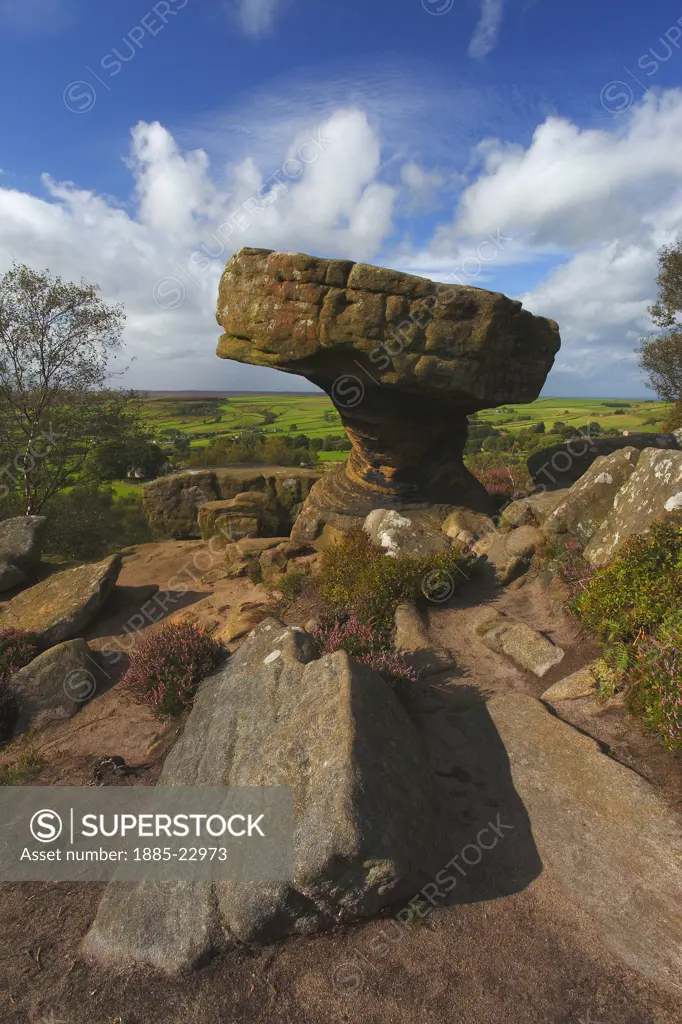 UK - England, North Yorkshire, Brimham Rocks, The druid's writing table