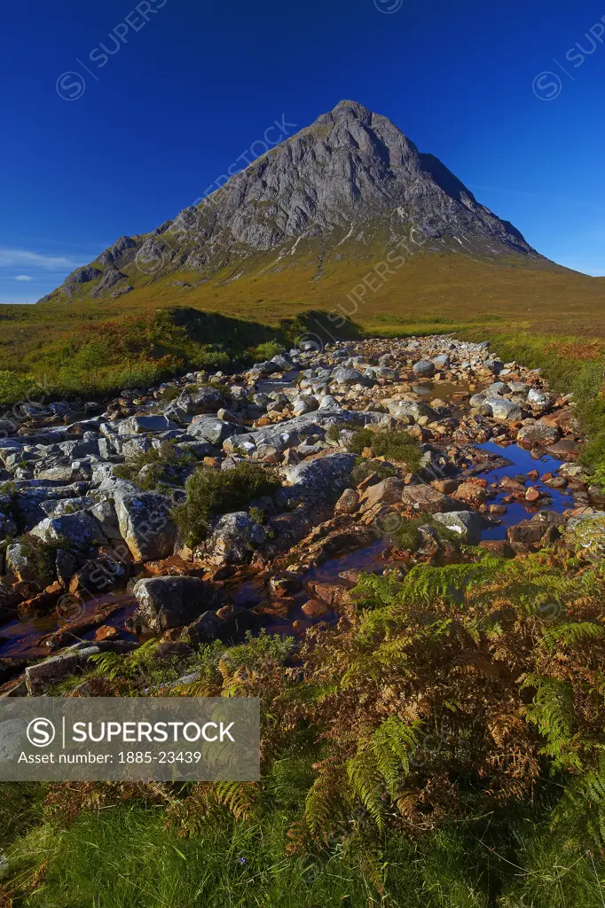 UK - Scotland, Highland, Rannoch Moor, Buchaille Etive Mor