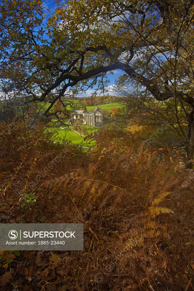 UK - England, North Yorkshire, Bolton Abbey, View of Bolton Abbey in autumn