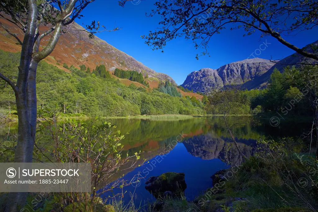 UK - Scotland, Highland, Glencoe, Torren Lochan in Glencoe