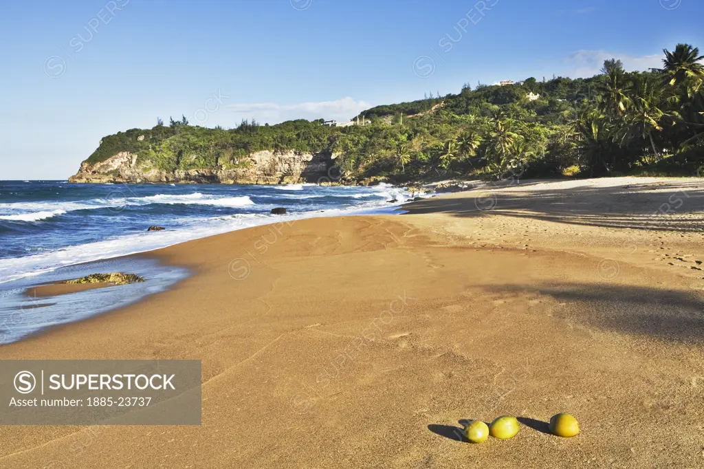 Caribbean, Puerto Rico, Quebradillas, Guajataca Beach