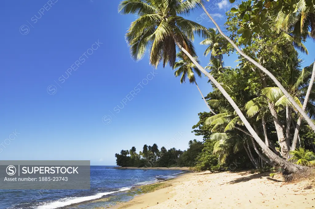Caribbean, Puerto Rico, Rincon, Unspoilt beach at Tres Palmas Marine Reserve
