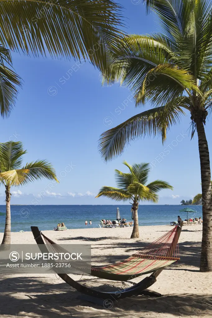 Caribbean, Puerto Rico, San Juan, Isla Verde beach with palm trees and hammock