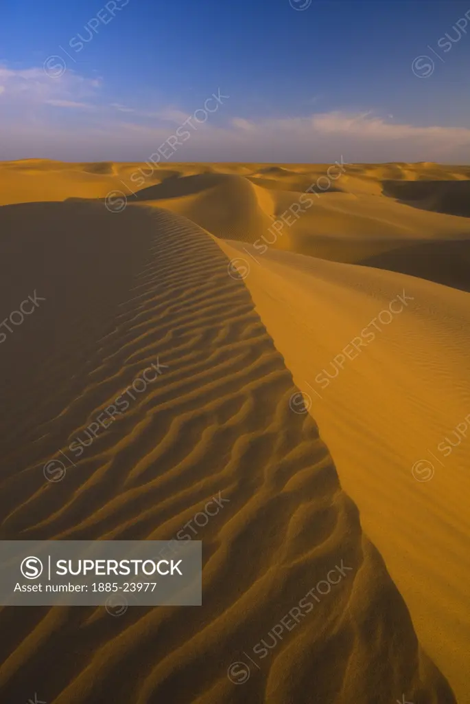India, Rajasthan, Jaisalmer - near, Great Thar Desert - Sam Sand Dunes