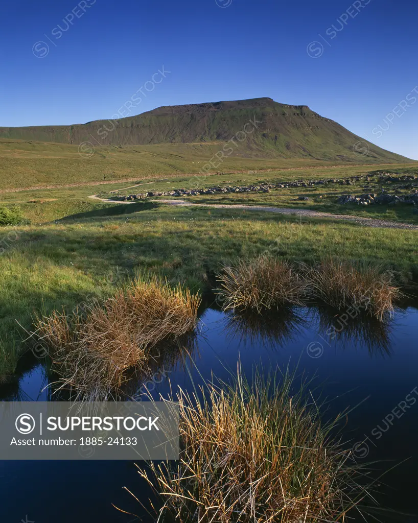 UK - England, Yorkshire, Southerscales Nature Reserve, View to Ingleborough