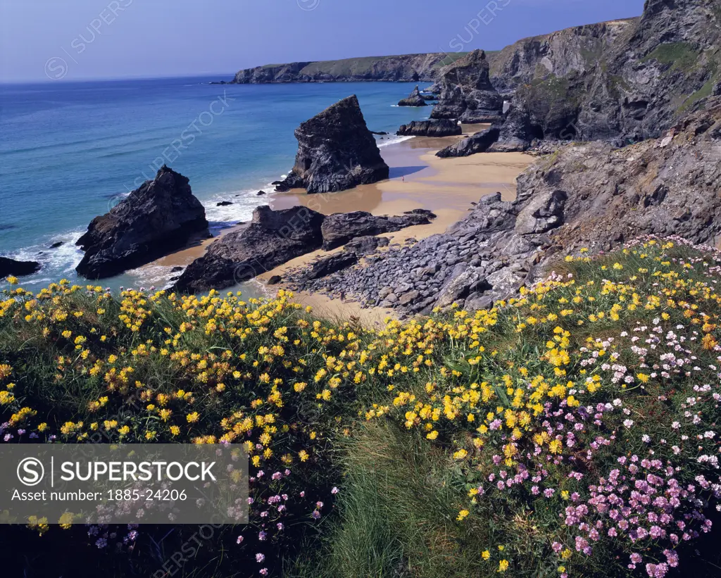 UK - England, Cornwall, Bedruthan Steps, View over Bedruthan Steps in spring