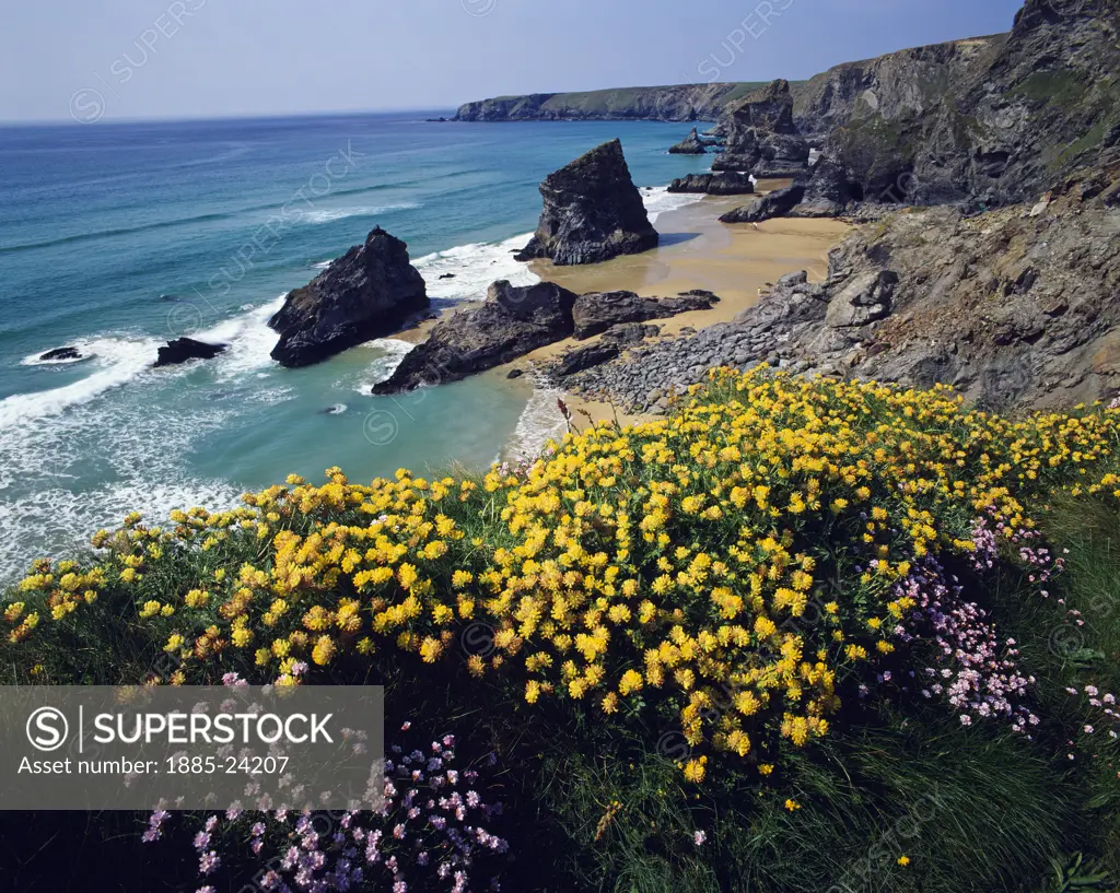 UK - England, Cornwall, Bedruthan Steps, View over Bedruthan Steps in spring