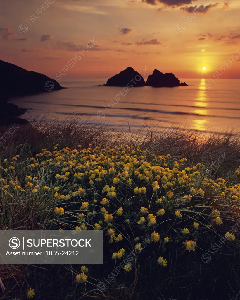 UK - England, Cornwall, Holywell Bay, Gull Rocks at sunset