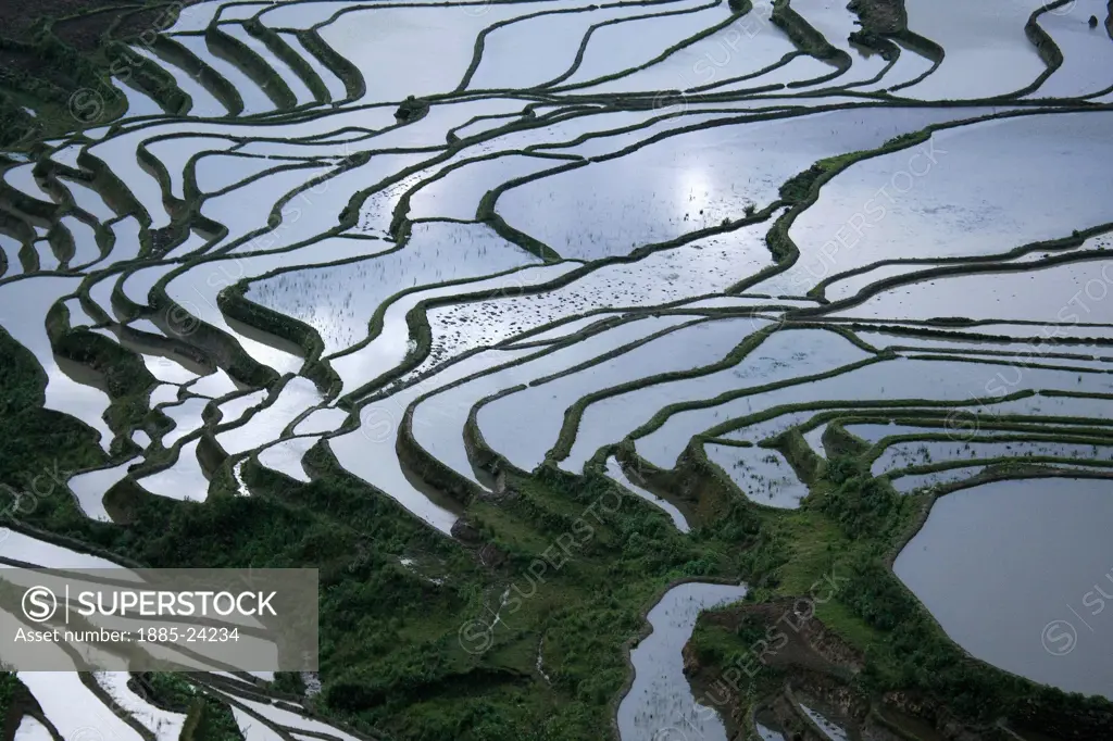 China, Yuanyang, View over rice terraces