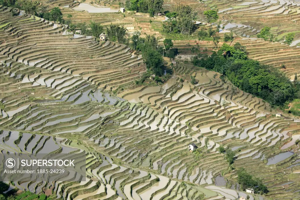 China, Yuanyang, View over rice terraces