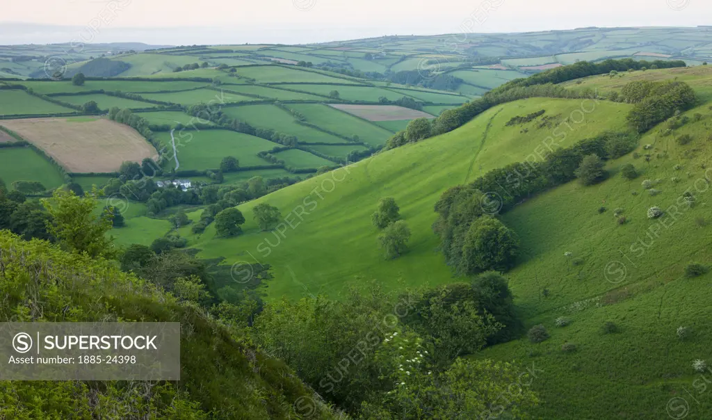 UK - England, Somerset, Exmoor National Park, Winsford Hill and The Punchbowl