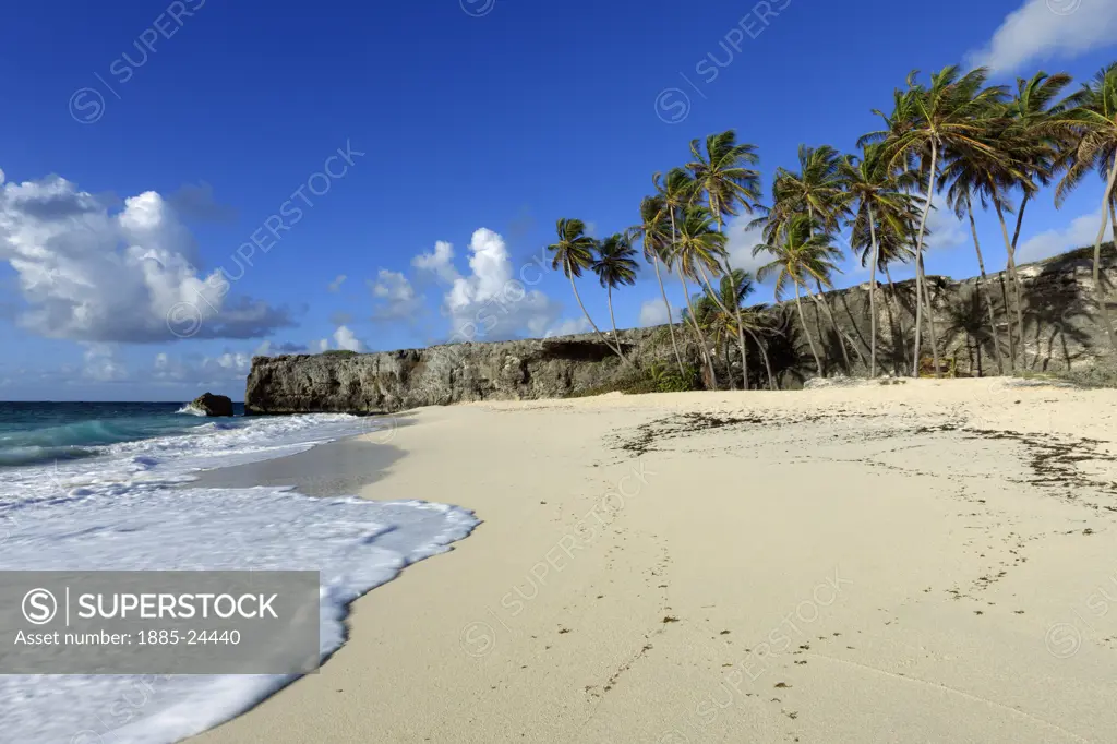 Caribbean, Barbados, Bottom Bay, Tropical beach scene